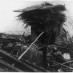 Johnstown Flood